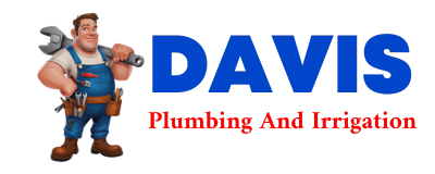 Trusted plumber in MERLIN